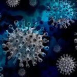 NUEVO CORONAVIRUS EN MURCIÉLAGOS: ¿UNA AMENAZA PARA LOS HUMANOS?