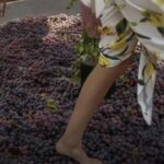 CELEBRA EL VERANO ENTRE VIÑEDOS