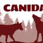 Colectivo CANIDA emite llamado urgente por menor en situación de vulnerabilidad.