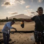 Derrame de crudo paraliza pesca en Veracruz mientras Durango celebra regreso del lobo mexicano