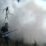 Sector salud reporta avances en vacunación, obesidad infantil e implantes cocleares