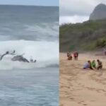 Helicóptero turístico se estrella en océano Pacífico frente a Kauai; deja tres fallecidos
