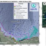 Discrepancias sobre control de derrame de hidrocarburo en costa de Tabasco y Veracruz
