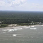 Derrame de petróleo afecta 500 kilómetros de costa veracruzana; legisladores exigen comparecencias