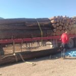 Reportan seis fallecidos y dos lesionados en cuatro incidentes viales en México