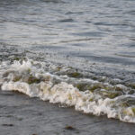 Recolectan 128 toneladas de residuos tras derrame de petróleo en Veracruz; organizaciones denuncian opacidad