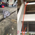 Fallece aficionado tras caer desde zona de palcos en partido México vs Portugal