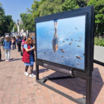 Inaugura Clara Brugada festival Aqüífera en Chapultepec con más de 400 actividades gratuitas