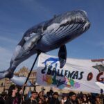 Jueza en Sonora ordena suspensión provisional del tránsito de buques del Proyecto Saguaro