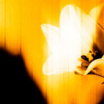 U2 y Sofía Reyes lanzan nuevos trabajos; confirman concierto de Babymetal tras broma de cancelación