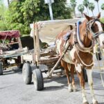 Invierte Consorcio Ecourbano Ambiental mil 600 mdp en servicio de limpieza de Torreón