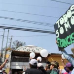 Fundación Haghenbeck exige judicialización de carpeta por maltrato animal contra Refugio Franciscano