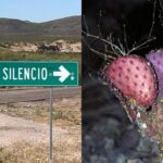 Lluvias provocan filtraciones en Terminal 1 del AICM; prevén aumento de sargazo en Quintana Roo