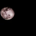 Luna Rosa será visible del 1 al 3 de abril; alcanza su punto máximo este miércoles