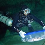 INAH traslada fósiles humanos de Sac Actun a Ciudad de México para estudios de antropología física