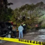 Justicia pendiente: amparo a ‘Lord Ferrari’, prisión domiciliaria a feminicida y retrasos en casos de alto perfil