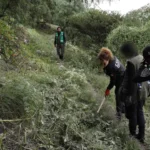 Ceci Flores viajará a Sinaloa por su hijo Alejandro; reportan hallazgos de restos en Sonora y CDMX