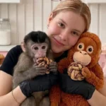 Fiscalía de Sinaloa busca a influencer Carmiña Castro Salazar, secuestrada en Culiacán