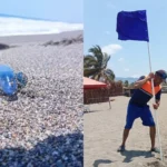 Capturan cocodrilos en Oaxaca y emiten alerta por ‘dragón azul’ en Michoacán