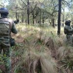 Reporte de seguridad en CDMX: marzo de 2026 registra menor incidencia de homicidios desde 2022