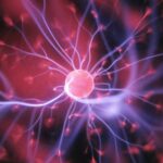 Científicos españoles desarrollan implante de grafeno que lee y modula señales cerebrales