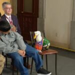 Pato Merlín asiste a La Mañanera y se registrará su imagen ante el IMPI