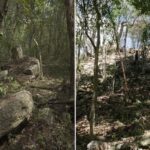 Localizan Minanbé, asentamiento maya oculto en la selva de Campeche