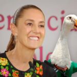 Sheinbaum confirma visita del Rey Felipe VI e invita al pato Merlín a la Mañanera