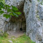 Estudio de ADN de neandertales tardíos cuestiona prejuicios sobre su extinción