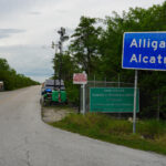 ICE traslada a migrantes de ‘Alligator Alcatraz’ en Florida por temporada de huracanes