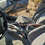 Hieren y detienen a civil tras enfrentamiento con agentes estatales en Laguna Hanson