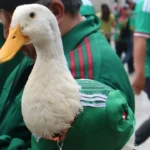 Ricardo Salinas Pliego invita al Pato Merlín y su familia al partido México vs Chequia