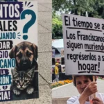Manifestantes del Refugio Franciscano exigen devolución de animales frente a Reforma 222