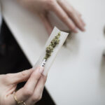 Cofepris acata resolución de la SCJN sobre autorizaciones conjuntas para autoconsumo lúdico de cannabis