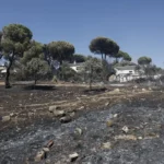 Evacúan a más de 10.000 personas en Madrid por tres incendios activos