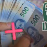 Inhabilitan a proveedores de IMSS y Servicio Postal por documentación falsa