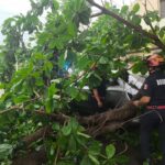 Lluvias en Yucatán generan 116 reportes de emergencia este sábado