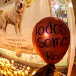 Discutirán en Nuevo León la Ley Rocky con penas de hasta 12 años por maltrato animal