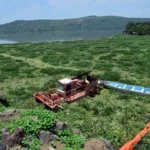 Conagua reduce 50% de lirio acuático en Presa Endhó tras retirar 105 mil metros cúbicos de maleza