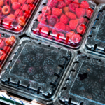 Exportaciones agroalimentarias de México al Reino Unido crecen 15% entre 2024 y 2025