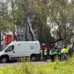 Hallan cuerpo de hombre colgado de un árbol en Avenida Insurgentes Norte