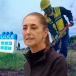 Sheinbaum decreta que la Jornada de Reforestación sea cada segundo domingo de agosto