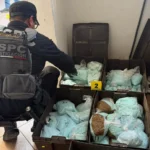 Decomisan 120 kilos de fentanilo atribuidos a ‘Los Rusos’ en operativo federal en Mexicali