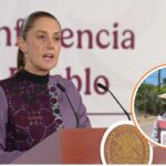 Sheinbaum respalda a Graciela Domínguez como gobernadora interina de Sinaloa