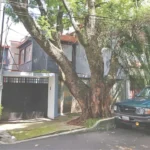 Despojo de inmuebles en CDMX genera ganancias equiparables al narcomenudeo, alerta notario