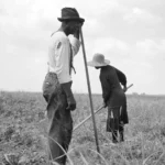 Palafrugell acoge la Bienal de Fotografía Xavier Miserachs con obra de Dorothea Lange
