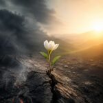 Poema anónimo explora la resiliencia y el renacer tras el sufrimiento